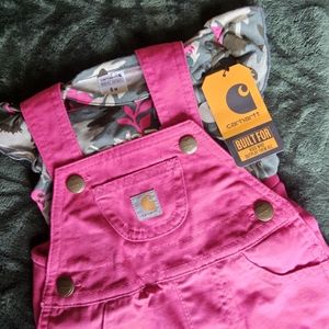 Carhartt overall shorts 6 months